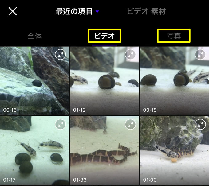 Youtube スマホで動画編集が出来る神アプリ Vita 高品質な動画作成が可能 ガクblog