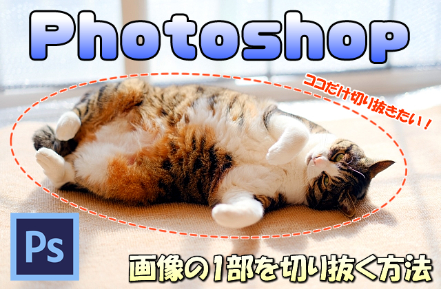 Photoshop 画像の一部 人や物 を切り抜いて背景を消す 透明にする 方法 合成加工に必須 ガクblog