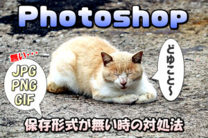 【Photoshop】画像を保存時にJPG (JPEG)やPNG・GIFなどの形式が無い場合の対処法