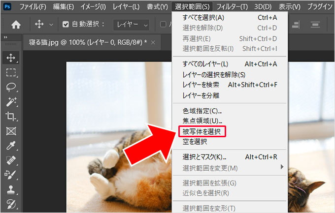 Photoshop（フォトショップ）を使って画像の1部だけを切り取る方法⑯