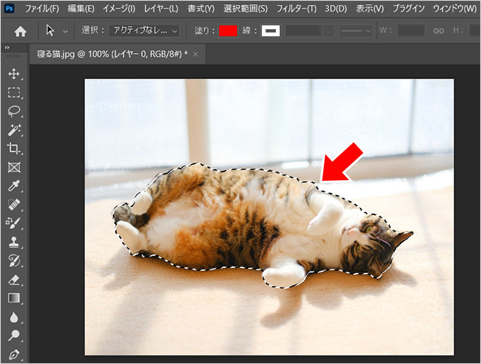 Photoshop（フォトショップ）を使って画像の1部だけを切り取る方法⑰