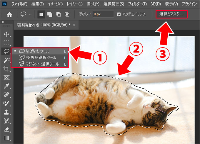 Photoshop（フォトショップ）を使って画像の1部だけを切り取る方法㉕