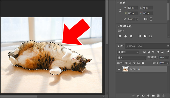 Photoshop（フォトショップ）を使って画像の1部だけを切り取る方法㉙