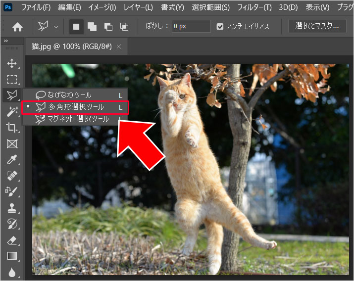 Photoshop（フォトショップ）を使って画像の1部だけを切り取る方法㉚